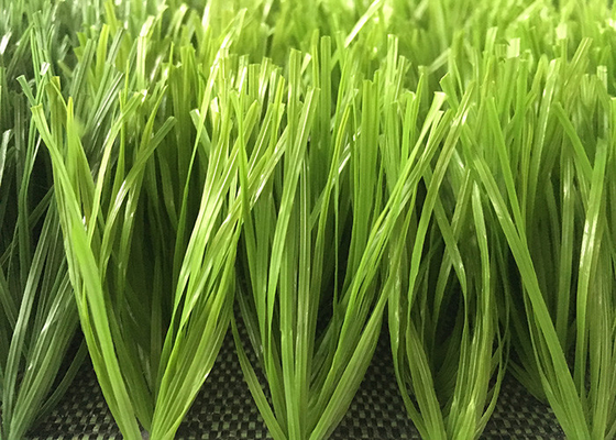 中国 50mm二重SpinedのサッカーのPEの物質的な人工的な草の二色の優秀で永続的な無光沢の出現 サプライヤー