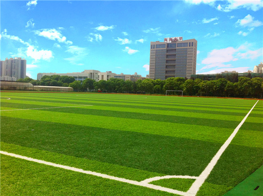 中国 専門の運動場の総合的な草、運動場の総合的な泥炭の国際サッカー連盟の標準 サプライヤー