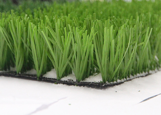 中国 特許を取られた高密度サッカーの人工的な草50mm二色の非常に耐久13000Dtex サプライヤー