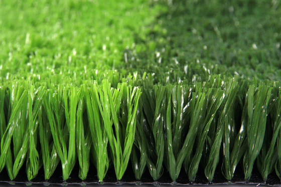中国 60mm国際サッカー連盟はフットボールのサッカーの人工的な草の泥炭のカーペットを承認した サプライヤー