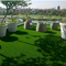 12600s/m2総合的な美化の人工的な草庭のための50mm サプライヤー