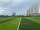 ダイヤモンド100のフットボール競技場の人工的な草45mの高さ サプライヤー