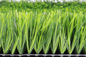 緑の国際サッカー連盟の泥炭のフットボールは60mmのフットボールの人工的な草を草でおおう サプライヤー