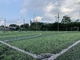 Cespedの緑の芝生の人工的な草のカーペット13000Detex PPのレノの裏付け サプライヤー