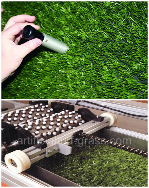 All Victory Grass (Guangzhou) Co., Ltd 品質管理 0