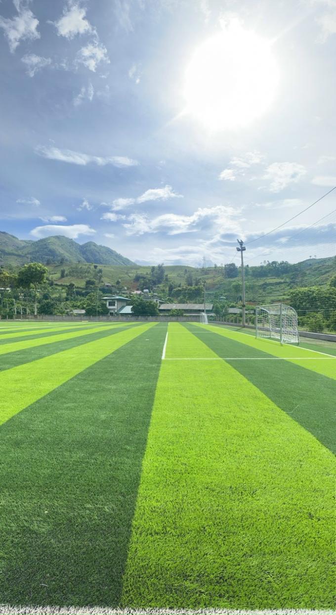 耐久の人工的なフットボールの草のサッカー競技場50mmの高さ 0