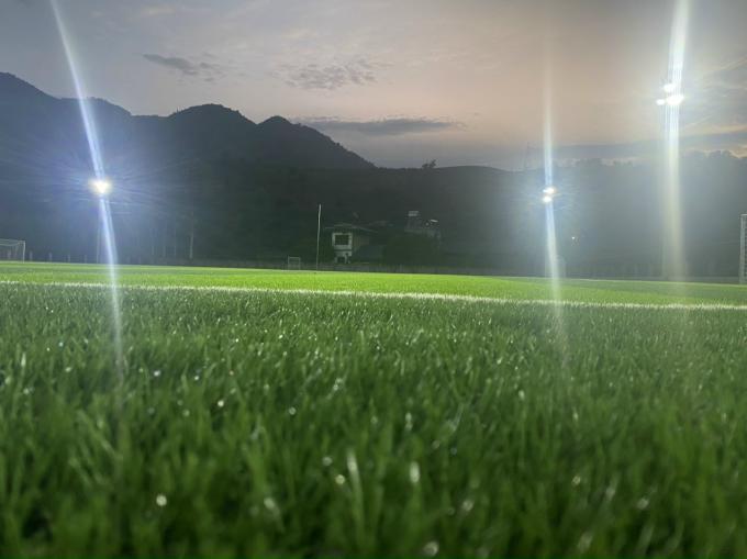 55mmの高さの耐久力のある人工的な草の泥炭のフットボールの総合的な草 0