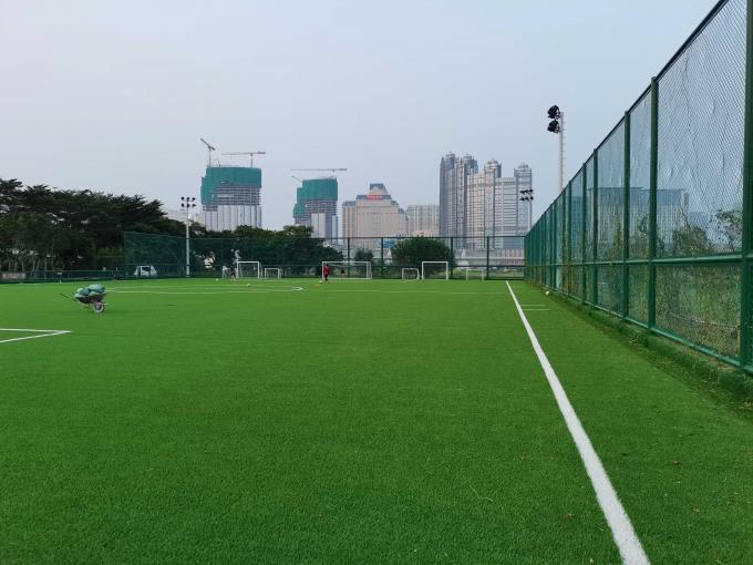 プロ フットボールのサッカーのために床を張る人工的な草のスポーツ 0