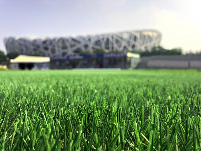 フットボールの自然な草の泥炭人工的な芝生によって編まれる50mmの高さ 0
