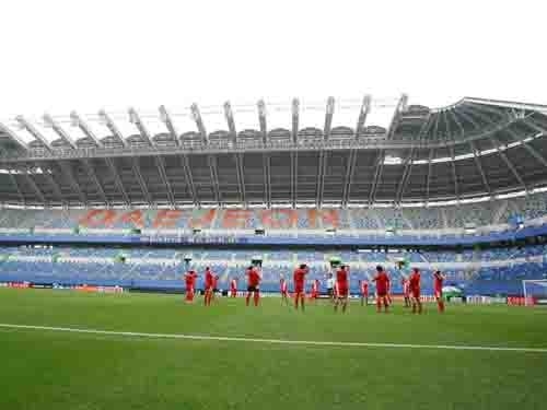 中国 実質の見るサッカー競技場の人工的な草のマット、フットボールの総合的な泥炭 サプライヤー