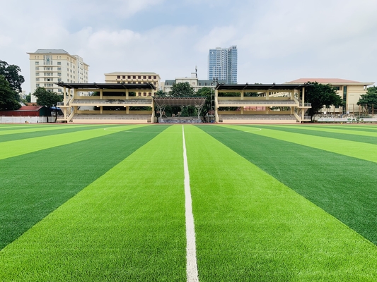 中国 55mmのサッカーのサッカー場のために床を張る人工的な草のスポーツ サプライヤー