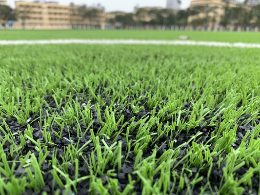 中国 屋外工場サッカーのフットボール競技場のためのAVG 60mmの泥炭の草のカーペット サプライヤー