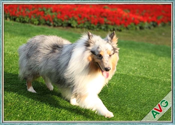 中国 紫外線抵抗力がある犬ペット人工的な泥炭/合成物質はEcoの友好的な取付けを草でおおう サプライヤー