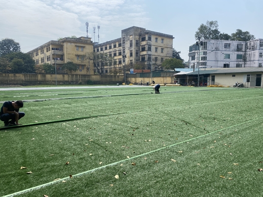 PEの構成50mmの屋外の屋内のための擬似サッカーの草 サプライヤー