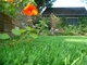 装飾、家の人工的な泥炭のための緑の再生利用できる庭の人工的な草 サプライヤー