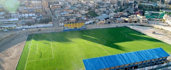 現実的な一見60mmの高さの人工的なサッカーの草の単繊維の構造 サプライヤー