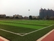 緑のフットボールの運動場の総合的な草、外側のための運動場の擬似草 サプライヤー