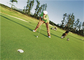 ゴルフ パット用グリーンのための巻き毛の高密度人工的な草、ゴルフ偽造品の草 サプライヤー