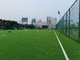 プロ フットボールのサッカーのために床を張る人工的な草のスポーツ サプライヤー
