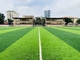 55mmのサッカーのサッカー場のために床を張る人工的な草のスポーツ サプライヤー