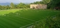 フットボールの草のフットボール競技場40mmのための人工的な草の泥炭50mm 60mm サプライヤー