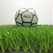 フットボールの草の天候の固着の人工的な草の芝生のためのAVGの総合的な泥炭 サプライヤー