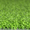 屋外および屋内人工的なゴルフ草のパット用グリーン10-15mm サプライヤー