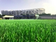 フットボールの自然な草の泥炭人工的な芝生によって編まれる50mmの高さ サプライヤー