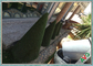 庭/美化のための完全な皮保護屋外の擬似草のカーペット サプライヤー