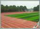 Futsalのための重金属のPPによって編まれる生地のフットボールの人工的な草無し13000 Dtex サプライヤー