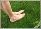 耐久の緑の屋外ペット人工的な泥炭の美化のための総合的な草のカーペット サプライヤー