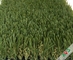 交通渋滞公園の人工的な草の屋外のカーペット/総合的な芝生の草 サプライヤー